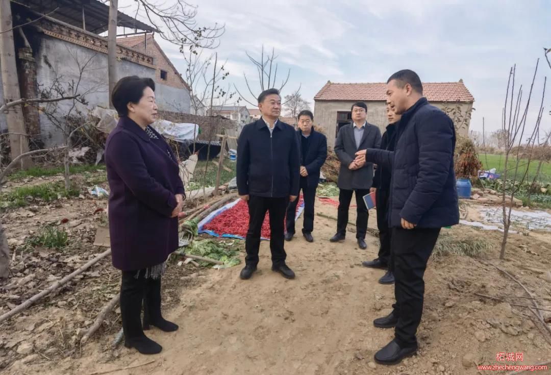 微信图片_8.jpg